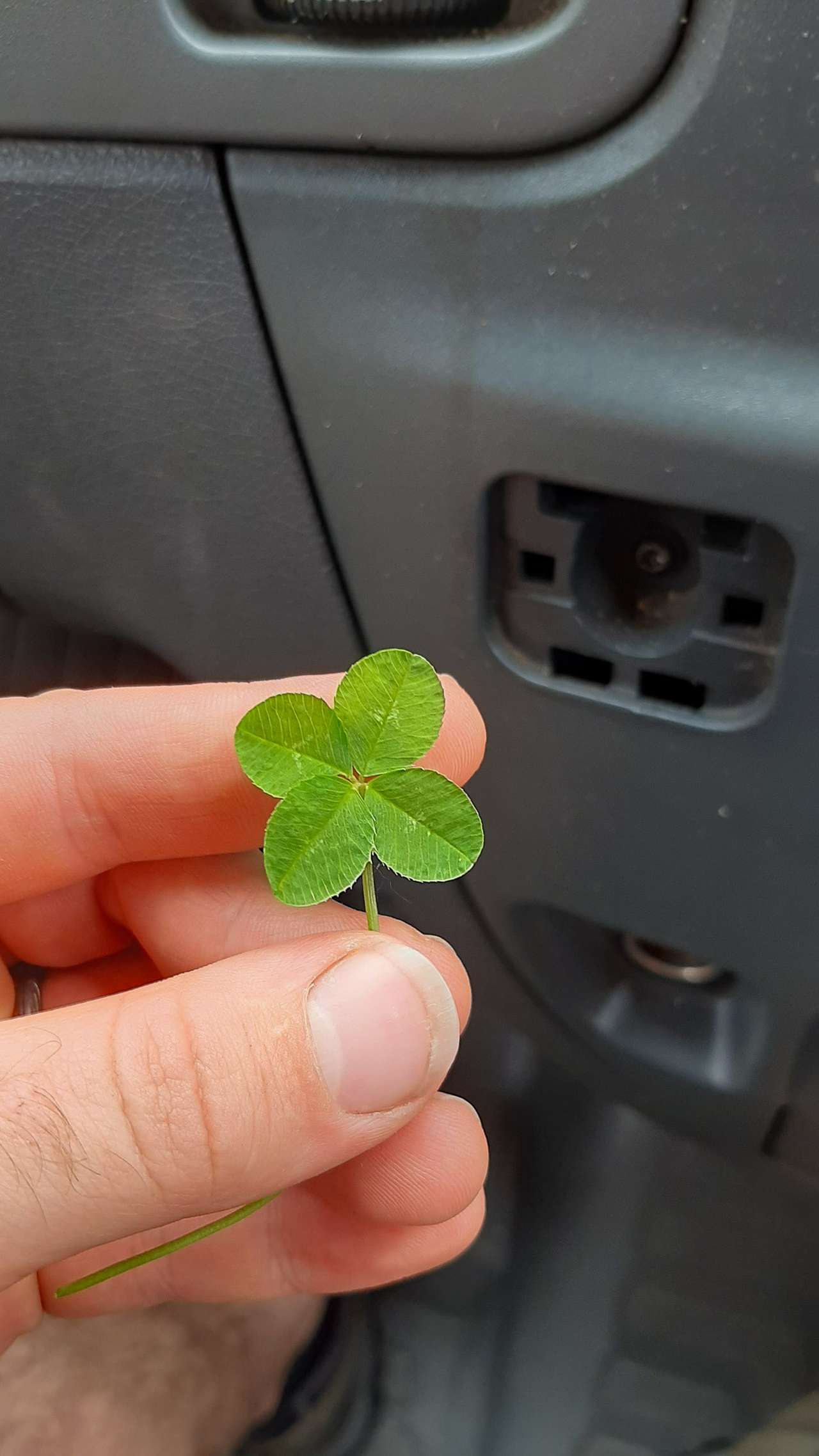 Removal team working on a house move near Long Ashton village